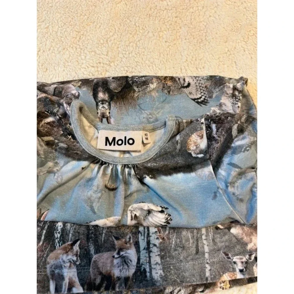Molo Caras Brand Girls 2T-3T Grey Blue Forest Lake Print Short Sleeve Dress